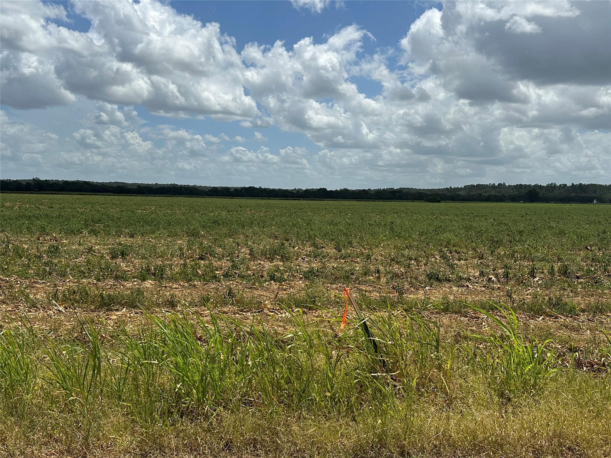 0000 Rabbs Prairie RD