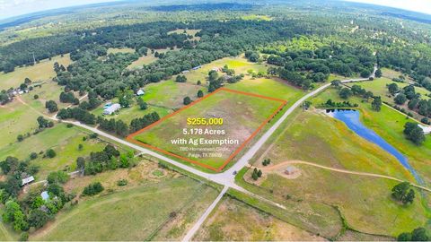 TBD Homestead CIR Paige TX 78659