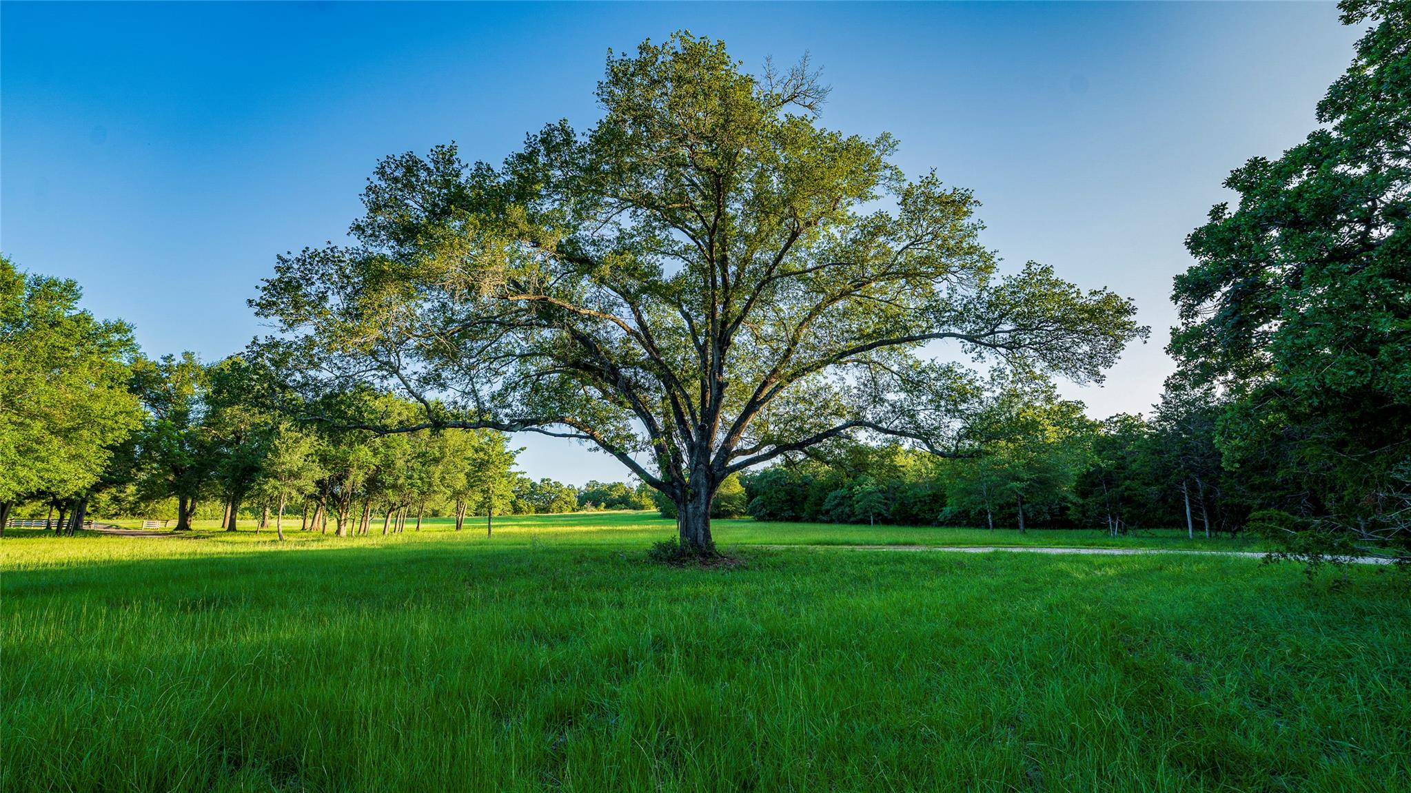 1462 County Road 313