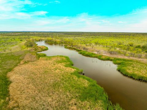 117 Private Road 541 Brady TX 76852