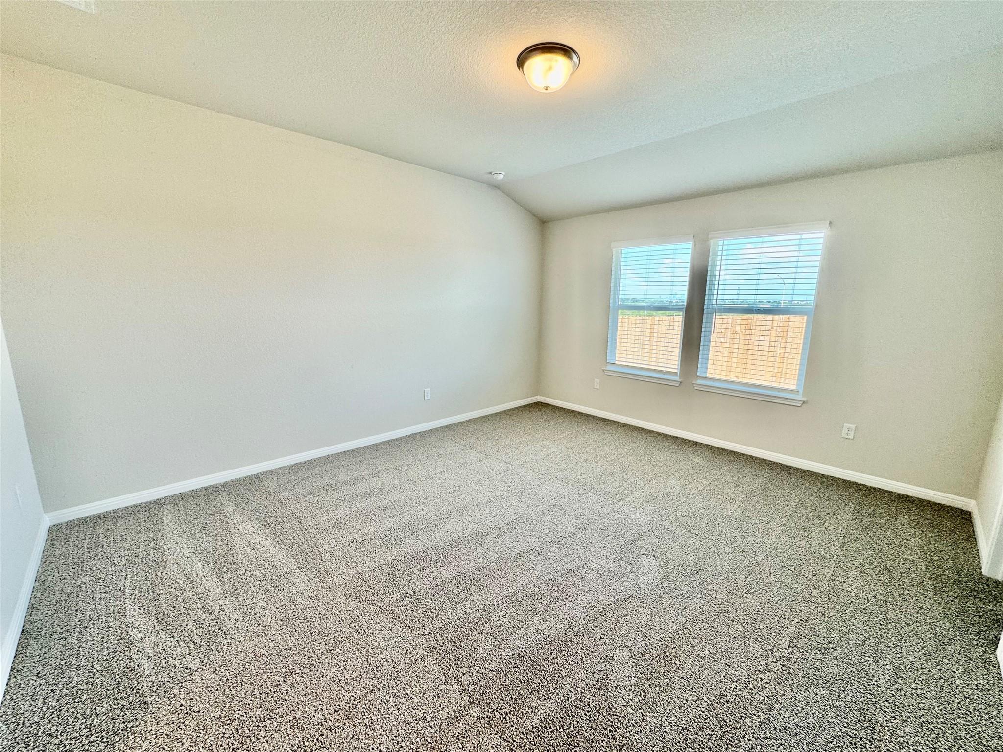 5000 Hazelnut LN