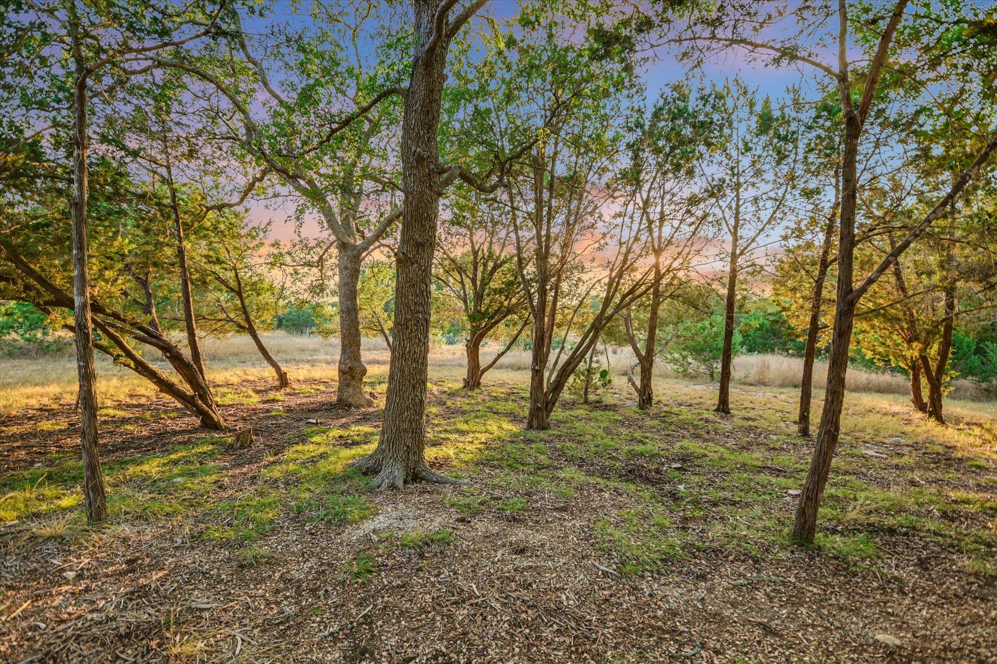 501 CAVE SPRINGS DR