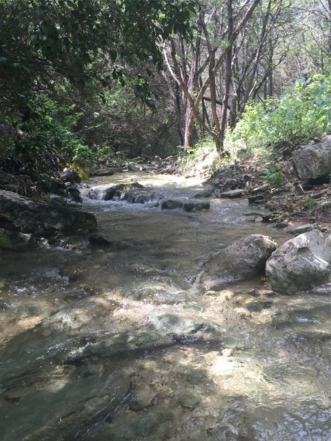 Tiny photo for 2408 Indian Creek RD, Austin, TX 78734 (MLS # 9566503)