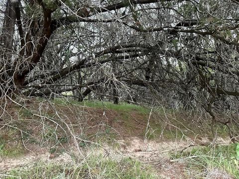 Photo of 21402 Highland Lake DR, Lago Vista, TX 78645 (MLS # 1095575)