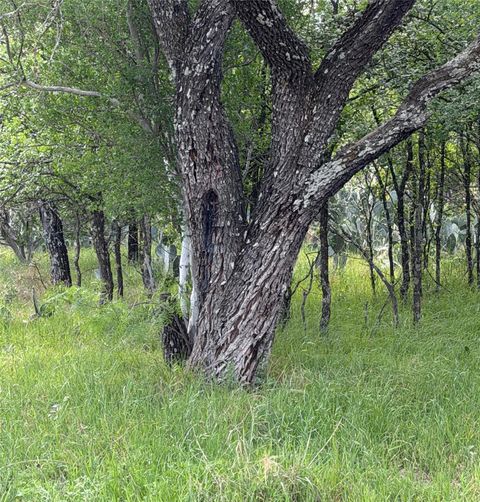 Photo of TBD Timber Valley Lane Lot 25, Granite Shoals, TX 78654 (MLS # 4418567)