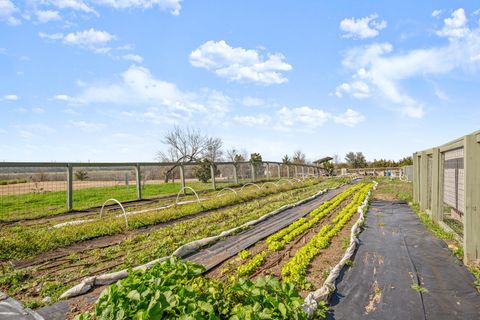 Tiny photo for 16416 Enamorado RD, Manor, TX 78653 (MLS # 5730232)