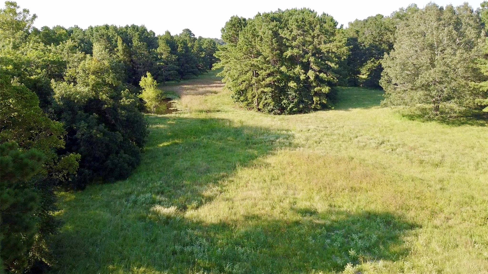 TBD County Road 4025