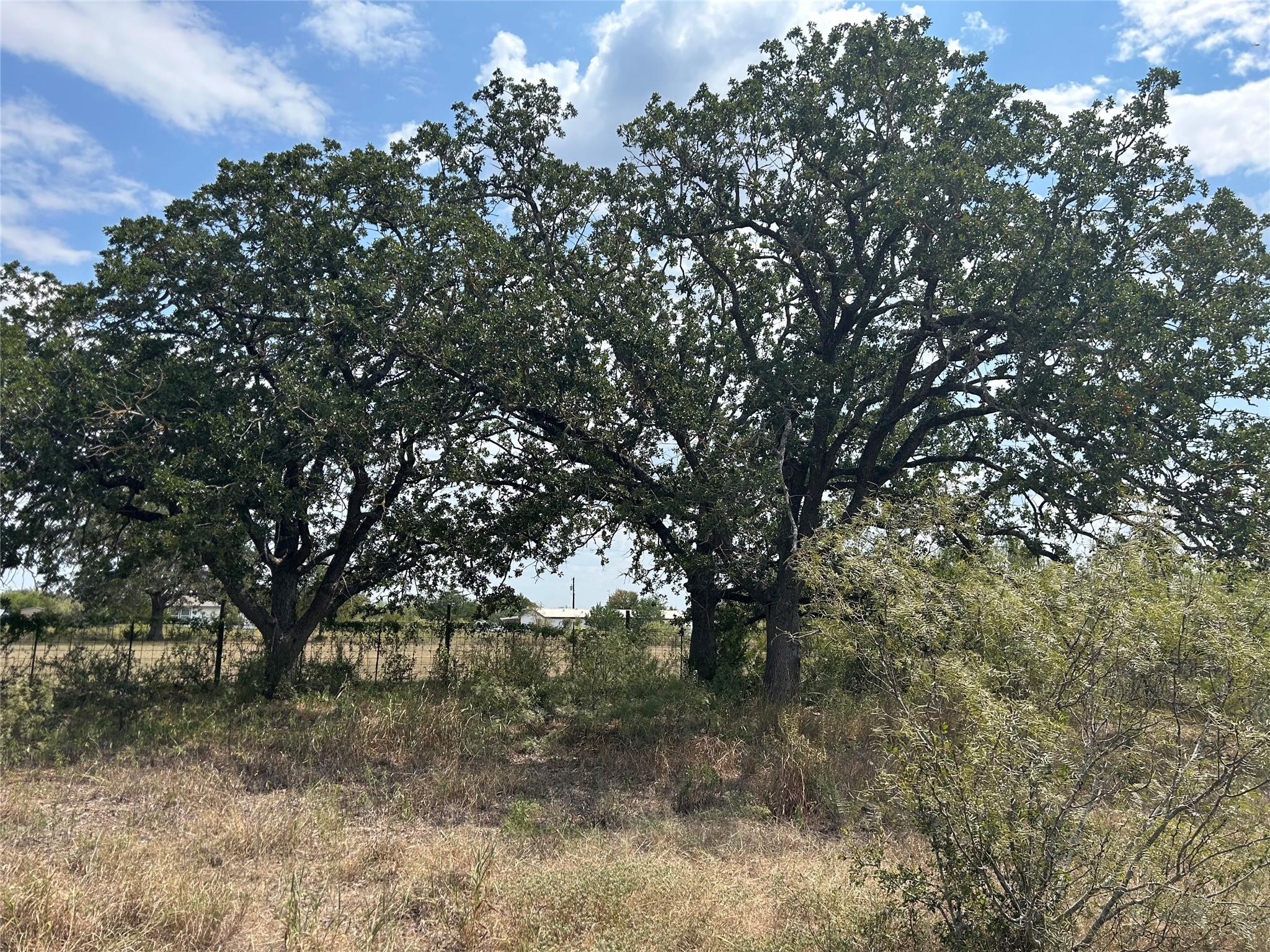 Photo 1 of 5 — 303 Walter Hoffman RD, Cedar Creek, TX 78612
