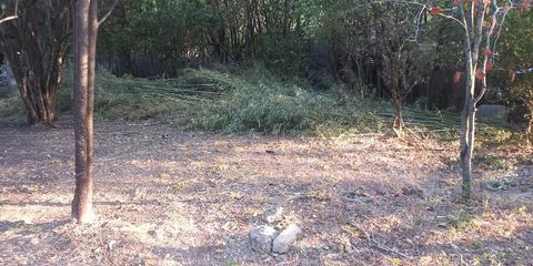 Tiny photo for 404 Primrose ST, Austin, TX 78753 (MLS # 9412515)