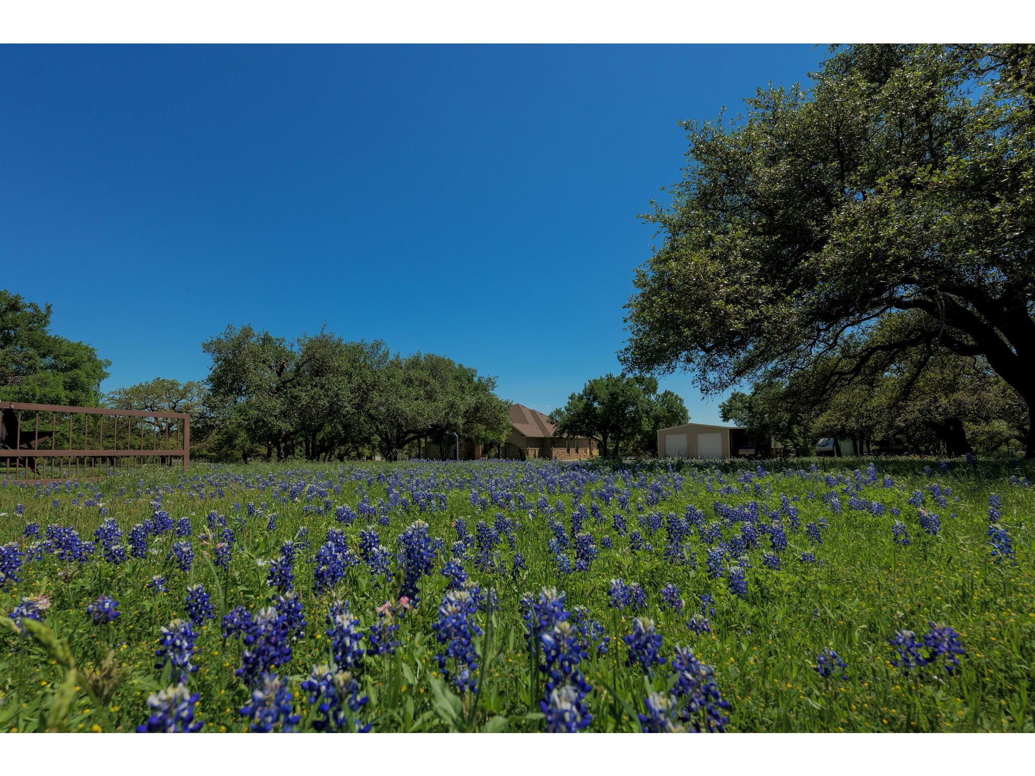 30201 Live Oak TRL