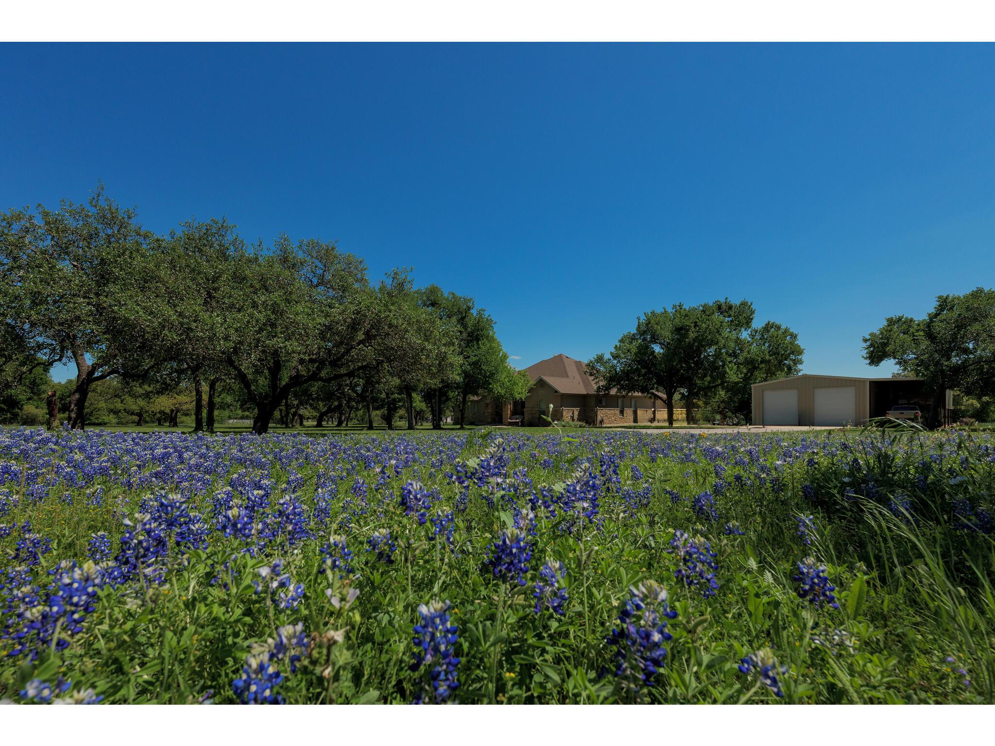 30201 Live Oak TRL
