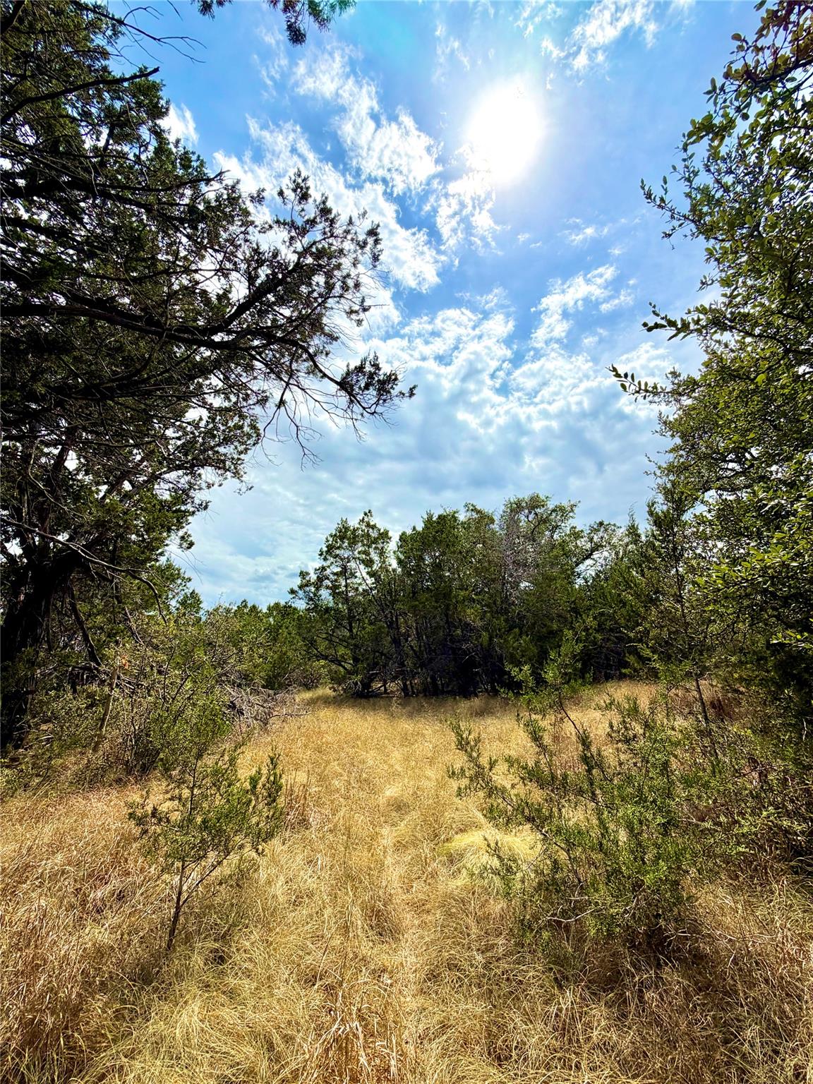 2519 George PASS