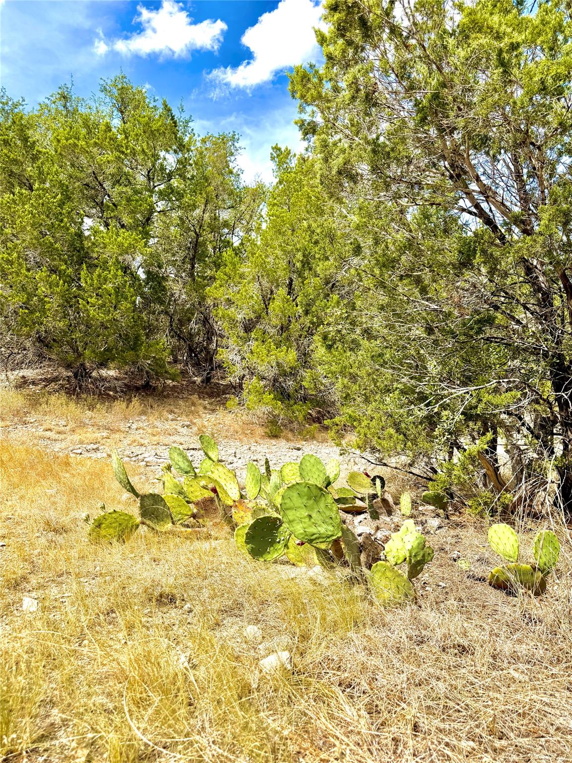 2519 George PASS