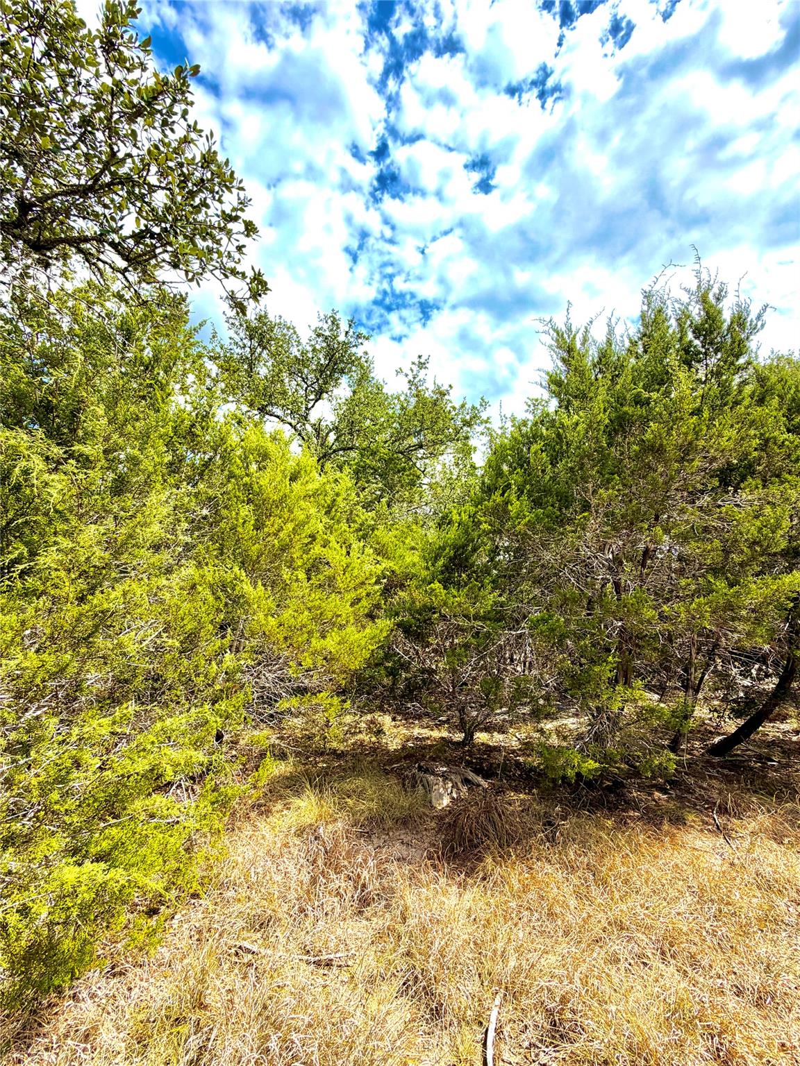 2519 George PASS