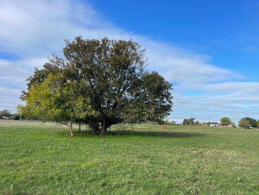 741 MUZNY LN, LA GRANGE, TX 78945 - Image 0d581d8d90be69832c5d109cb2aa89cb/519463057