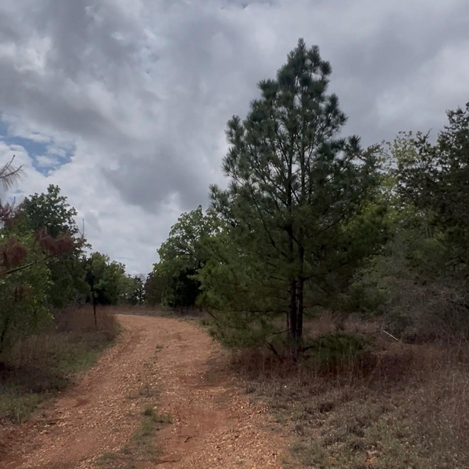 Lot 7 S Old Potato RD