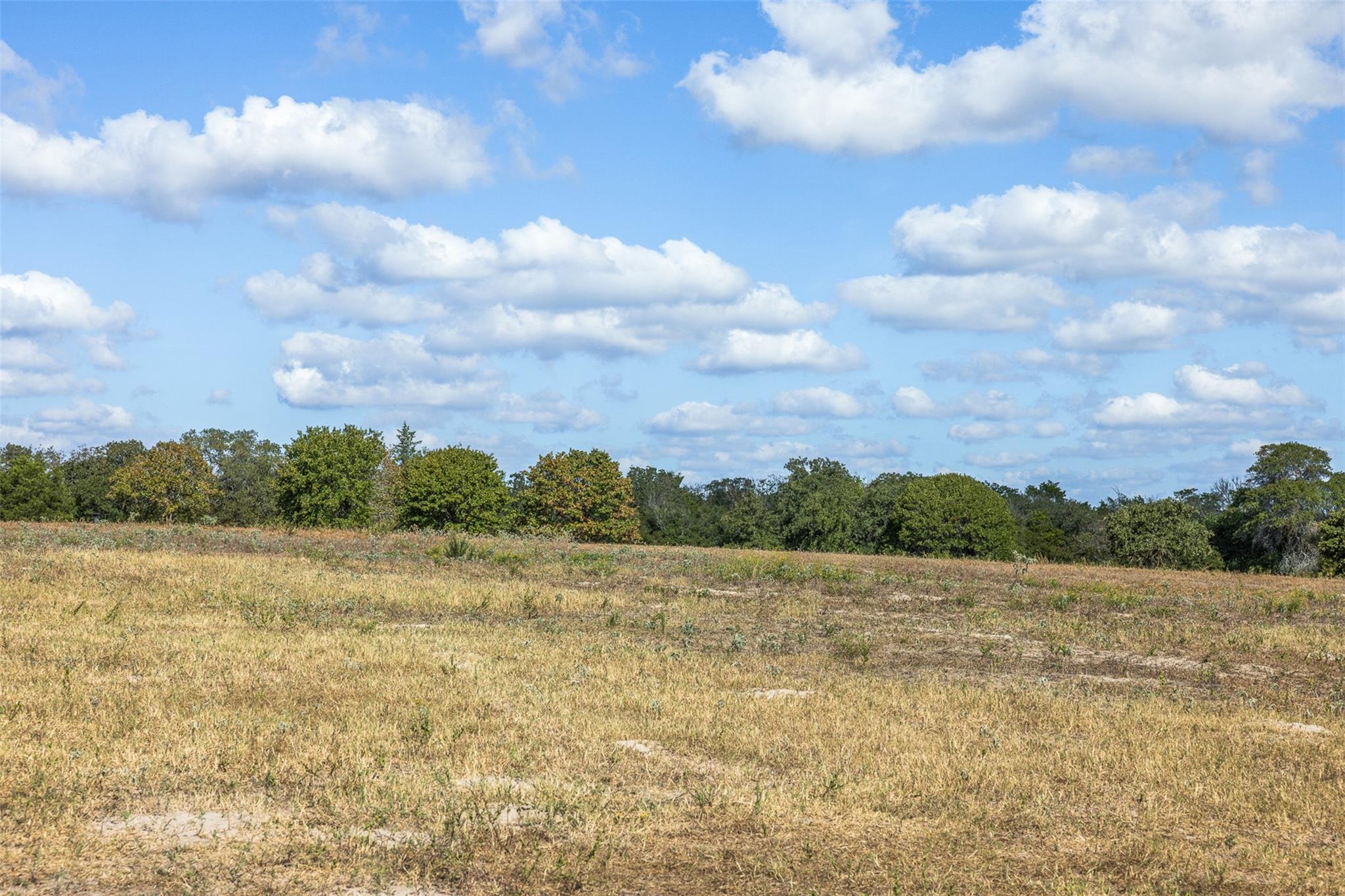 2135 Mule Creek RD