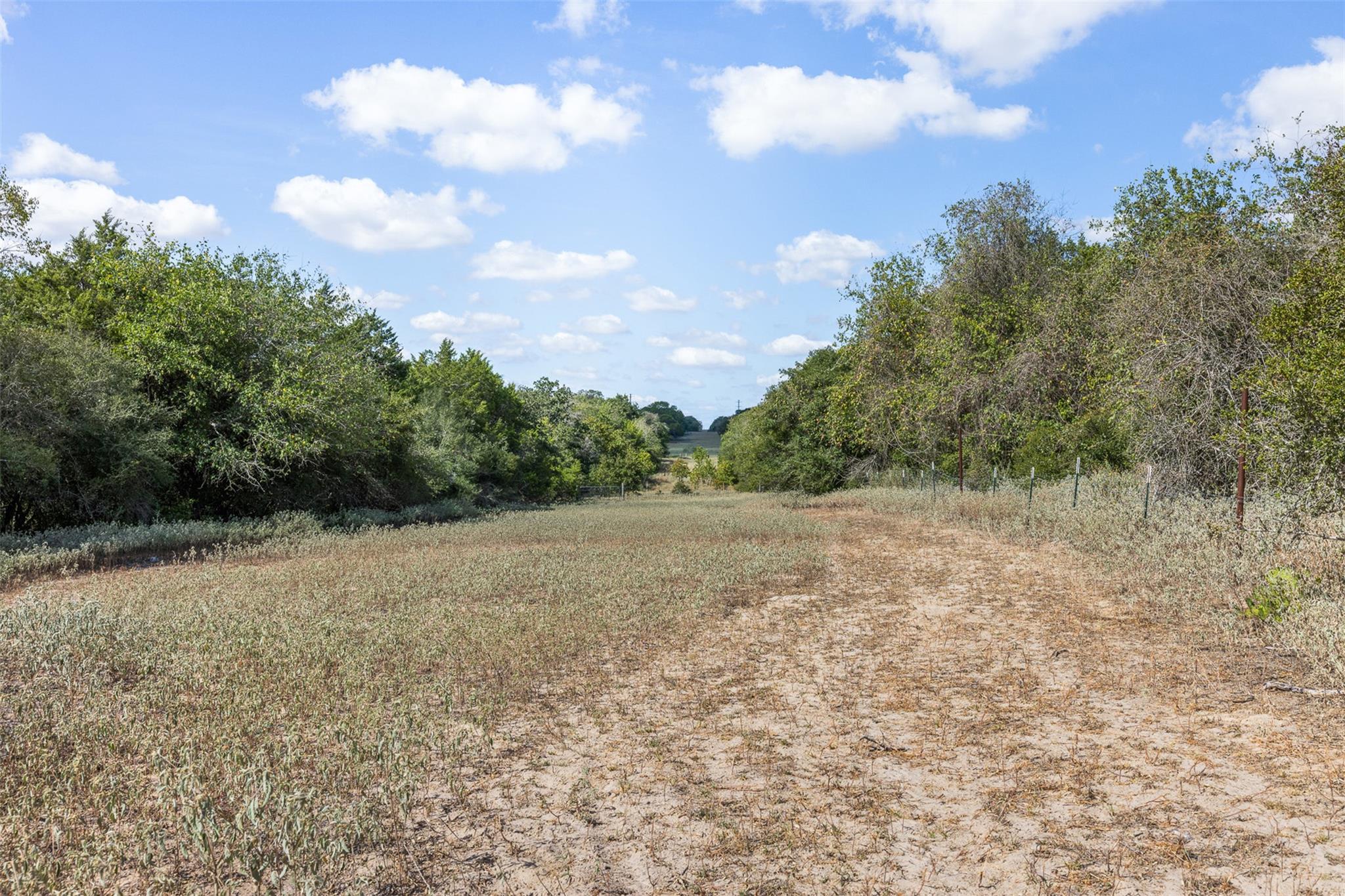 2135 Mule Creek RD