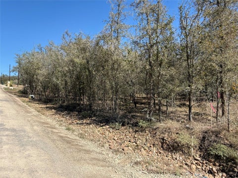Photo of 135 Diamondhead DR, Bastrop, TX 78602 (MLS # 7339760)