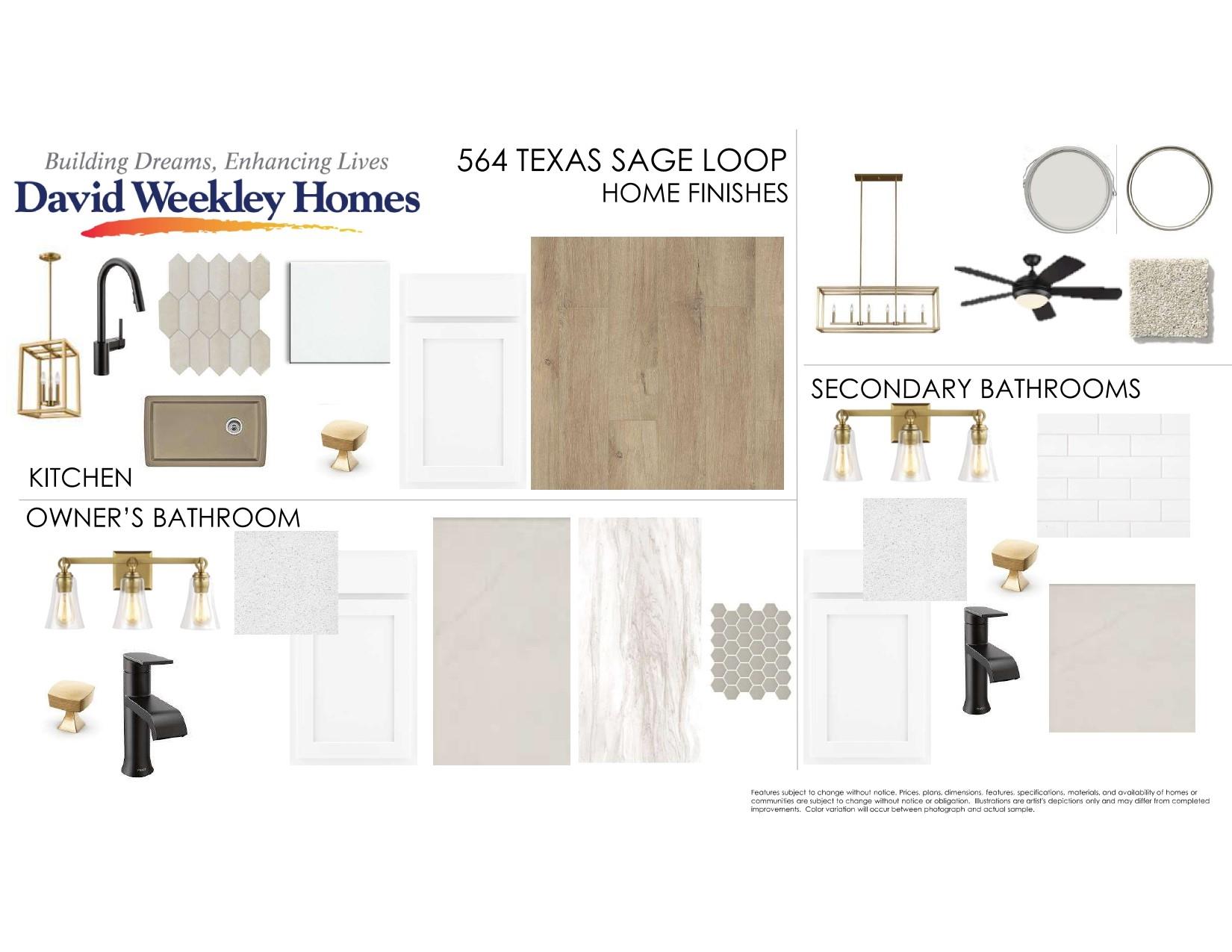 564 Texas Sage LOOP
