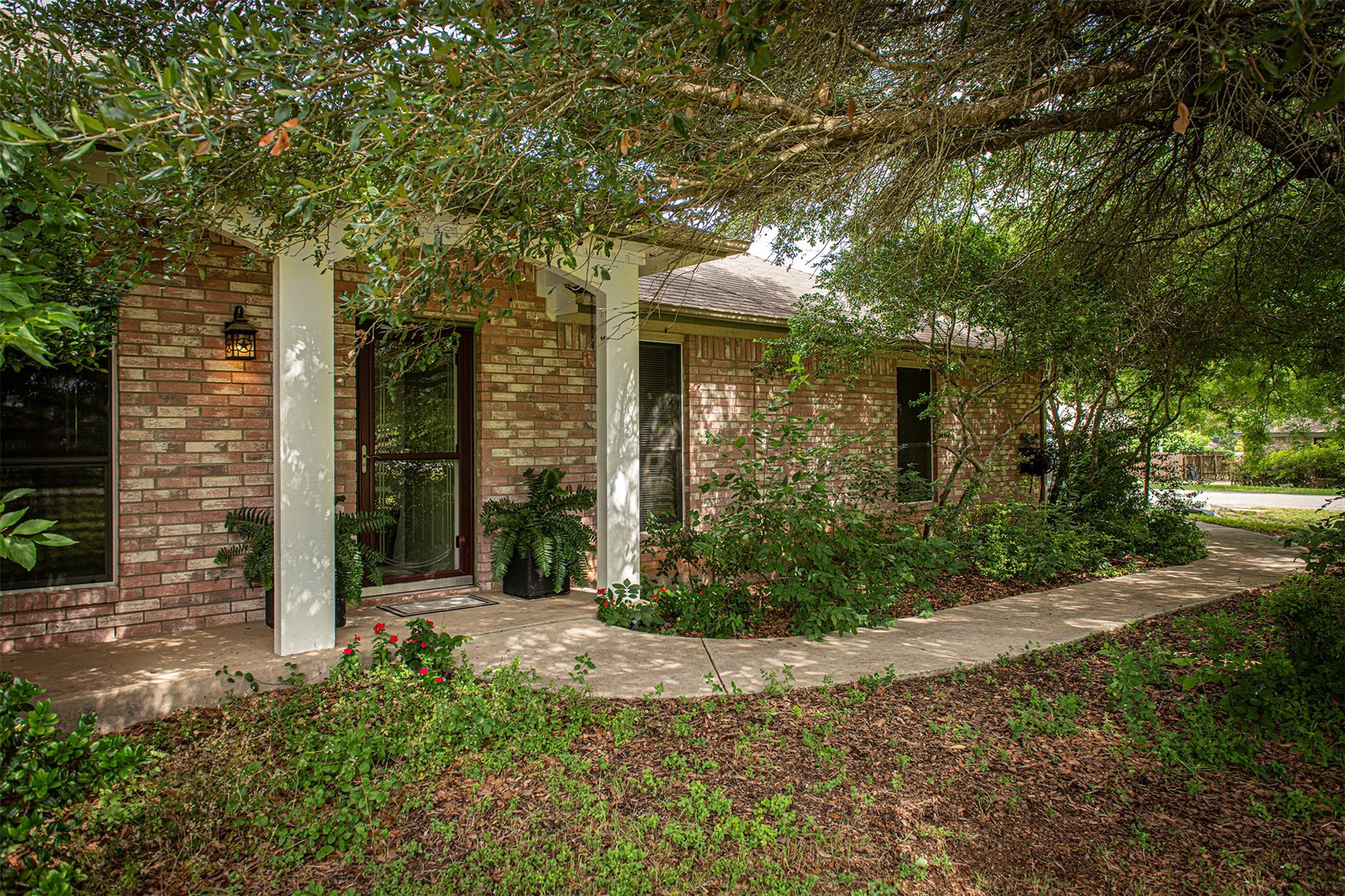 402 Sunflower CV