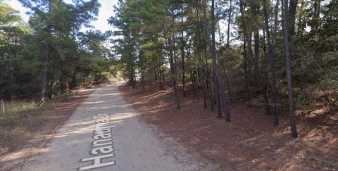 Photo of 0 Hanauma DR, Bastrop, TX 78602 (MLS # 6020277)