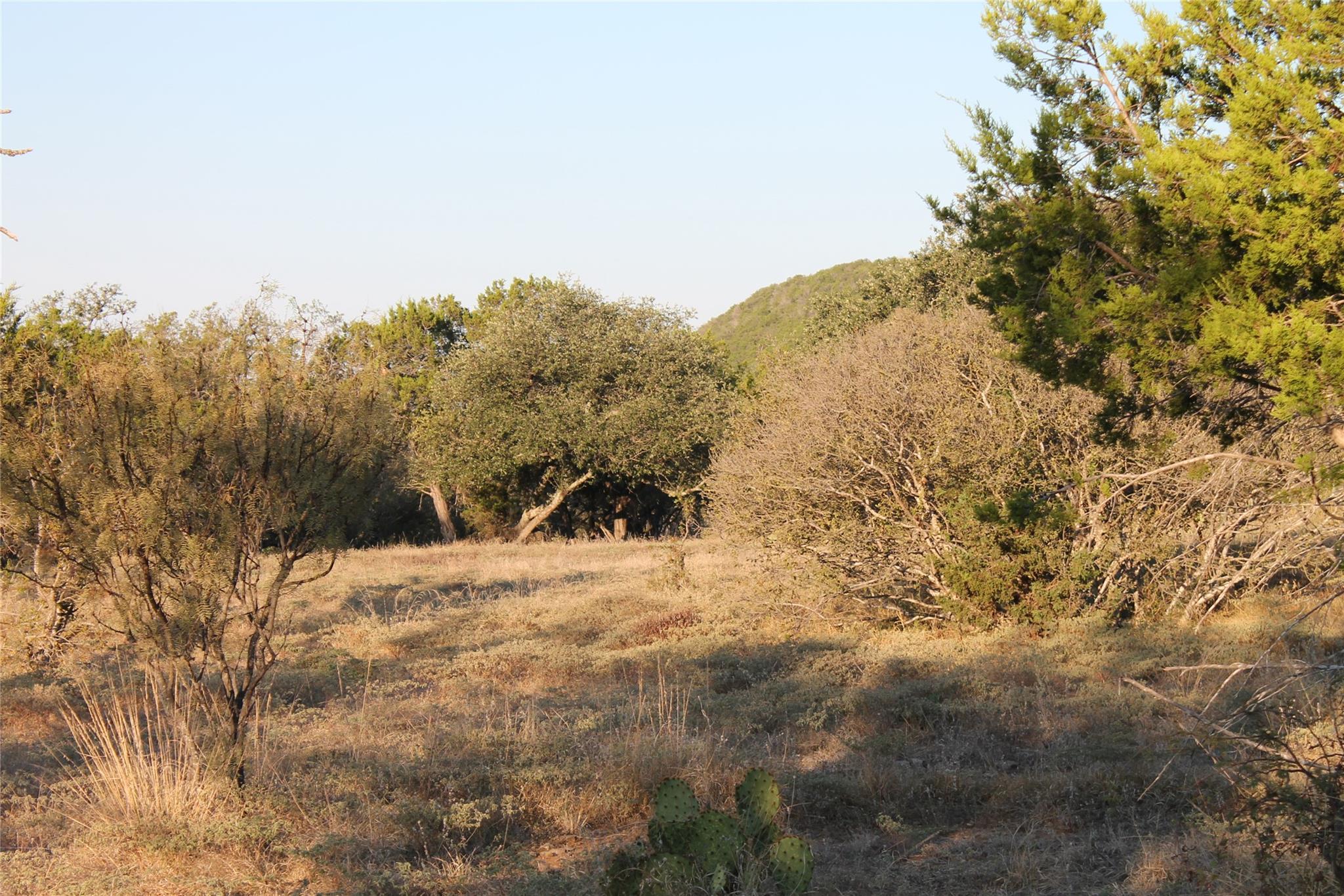 tbd Wolf Creek Rand RD