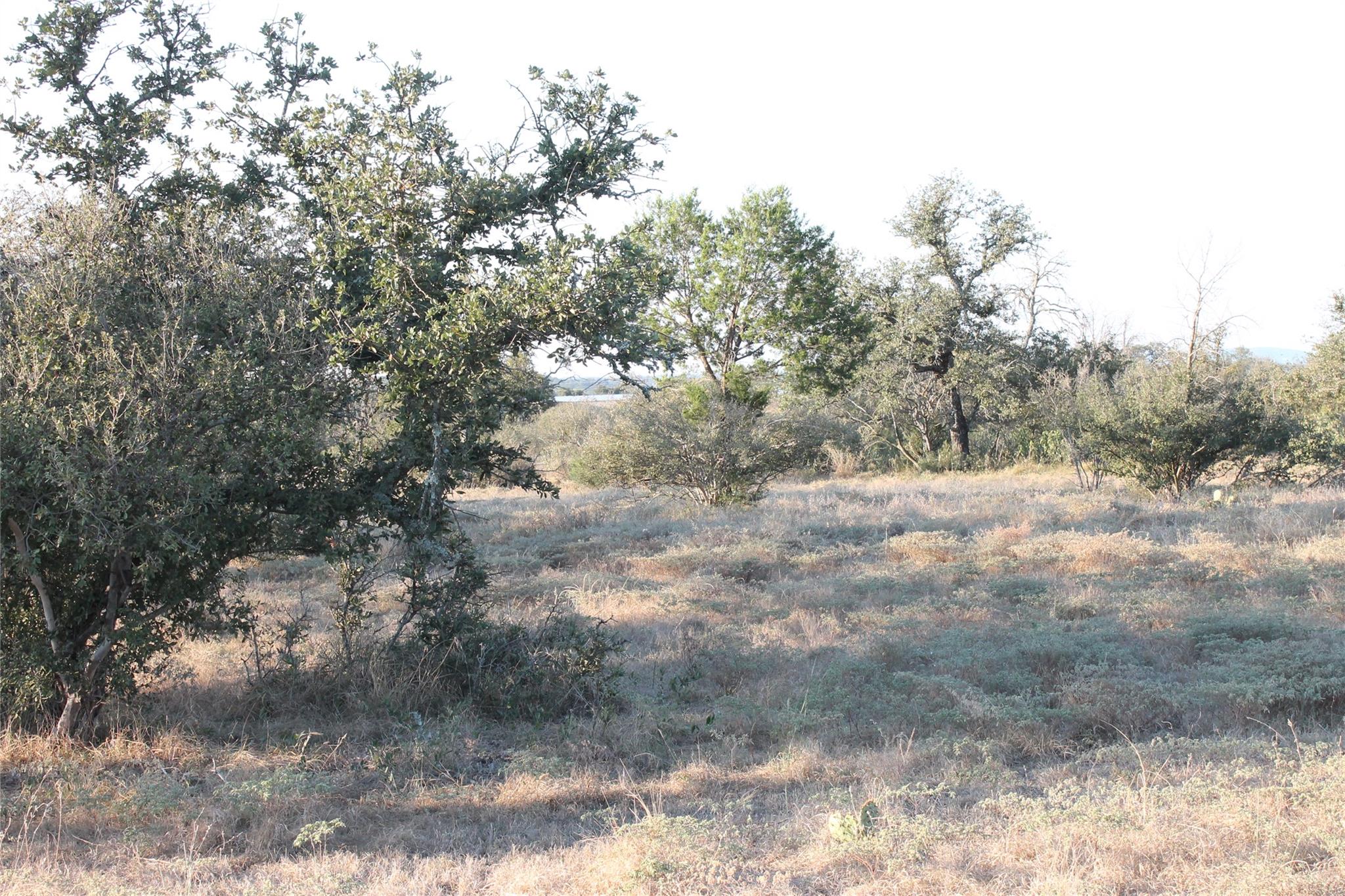 tbd Wolf Creek Rand RD