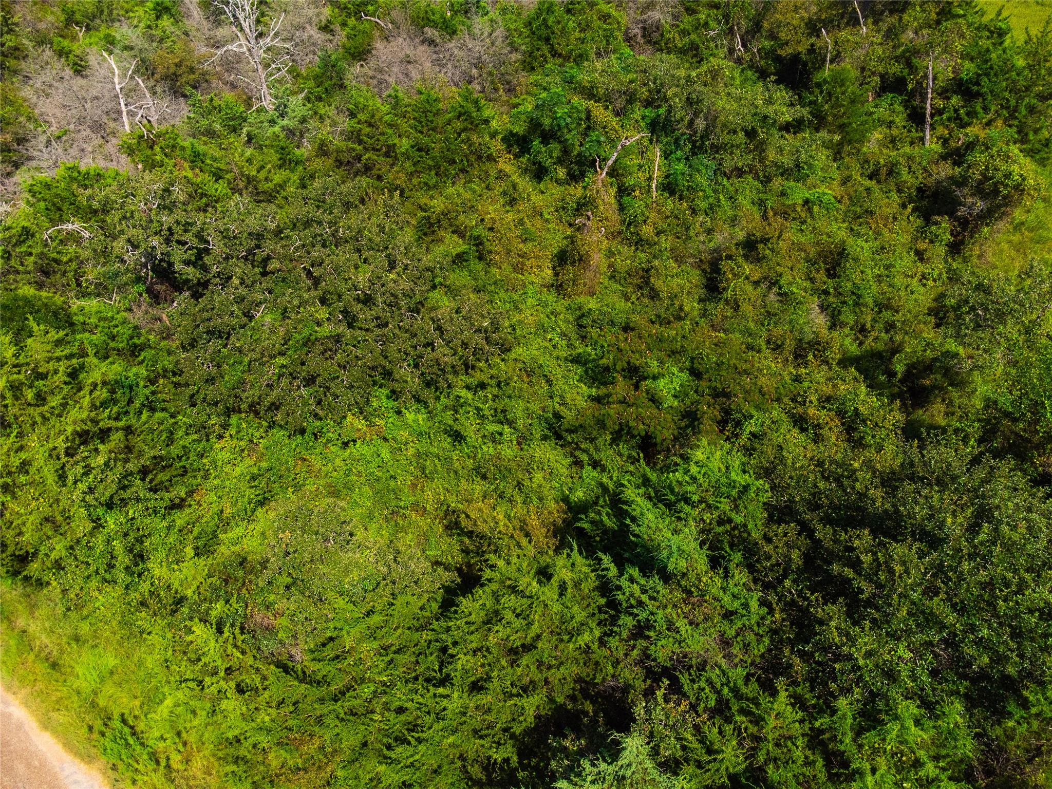 lot 92 Lois LN E
