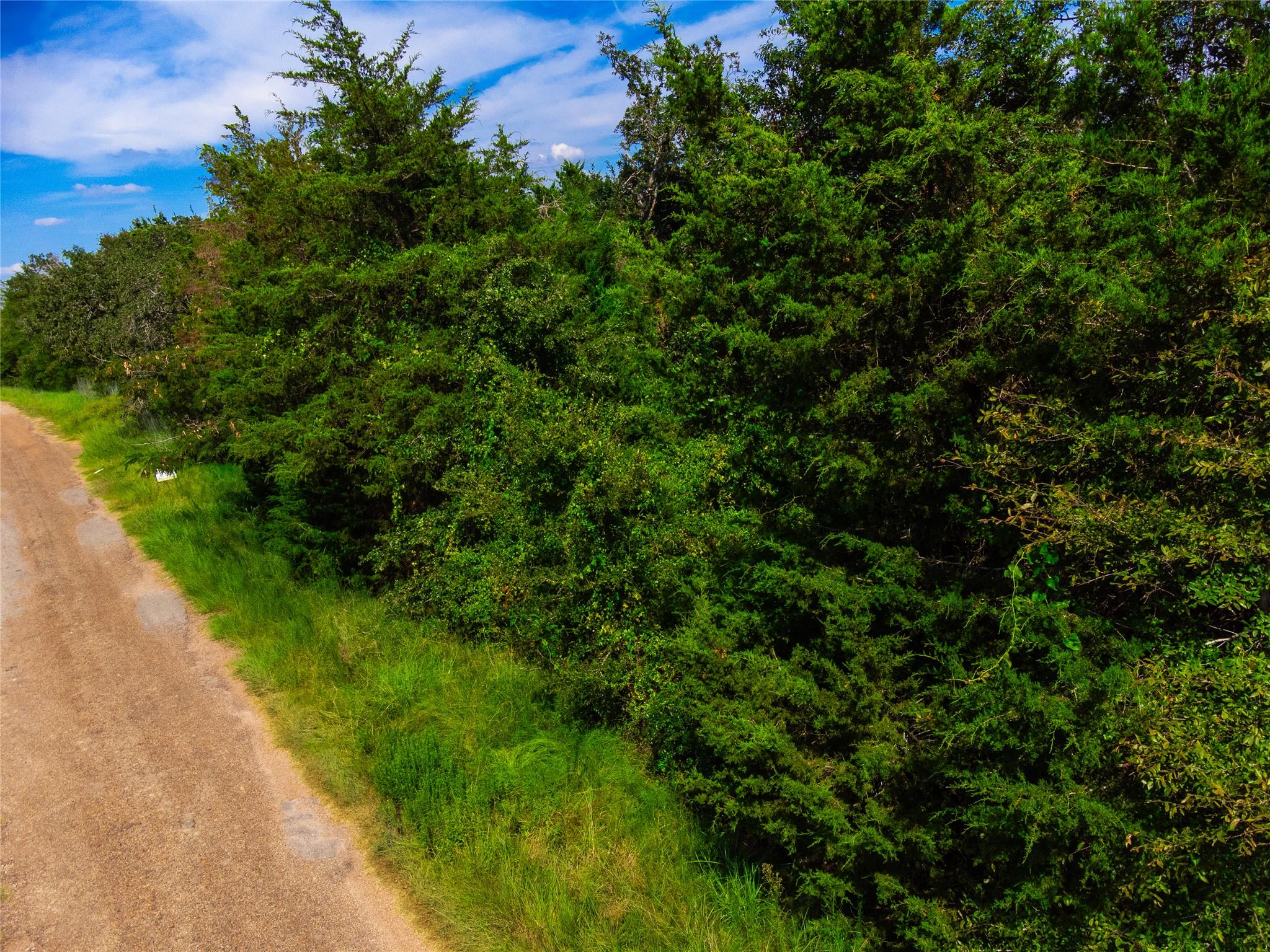 lot 92 Lois LN E