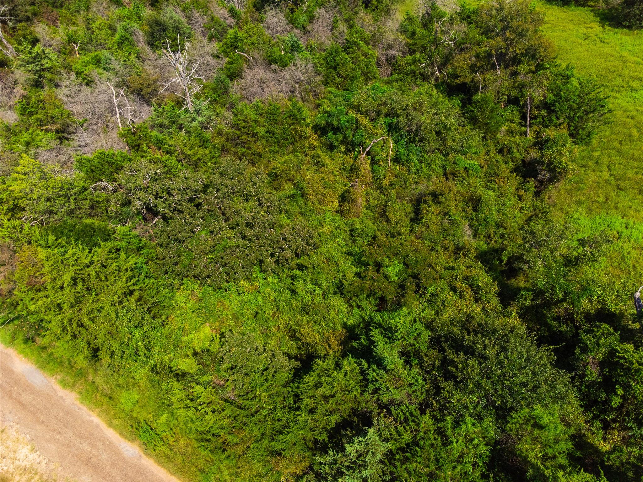 lot 92 Lois LN E