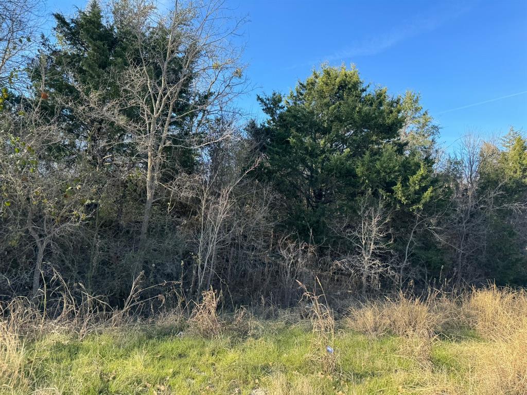 8405 Taylorsville RD