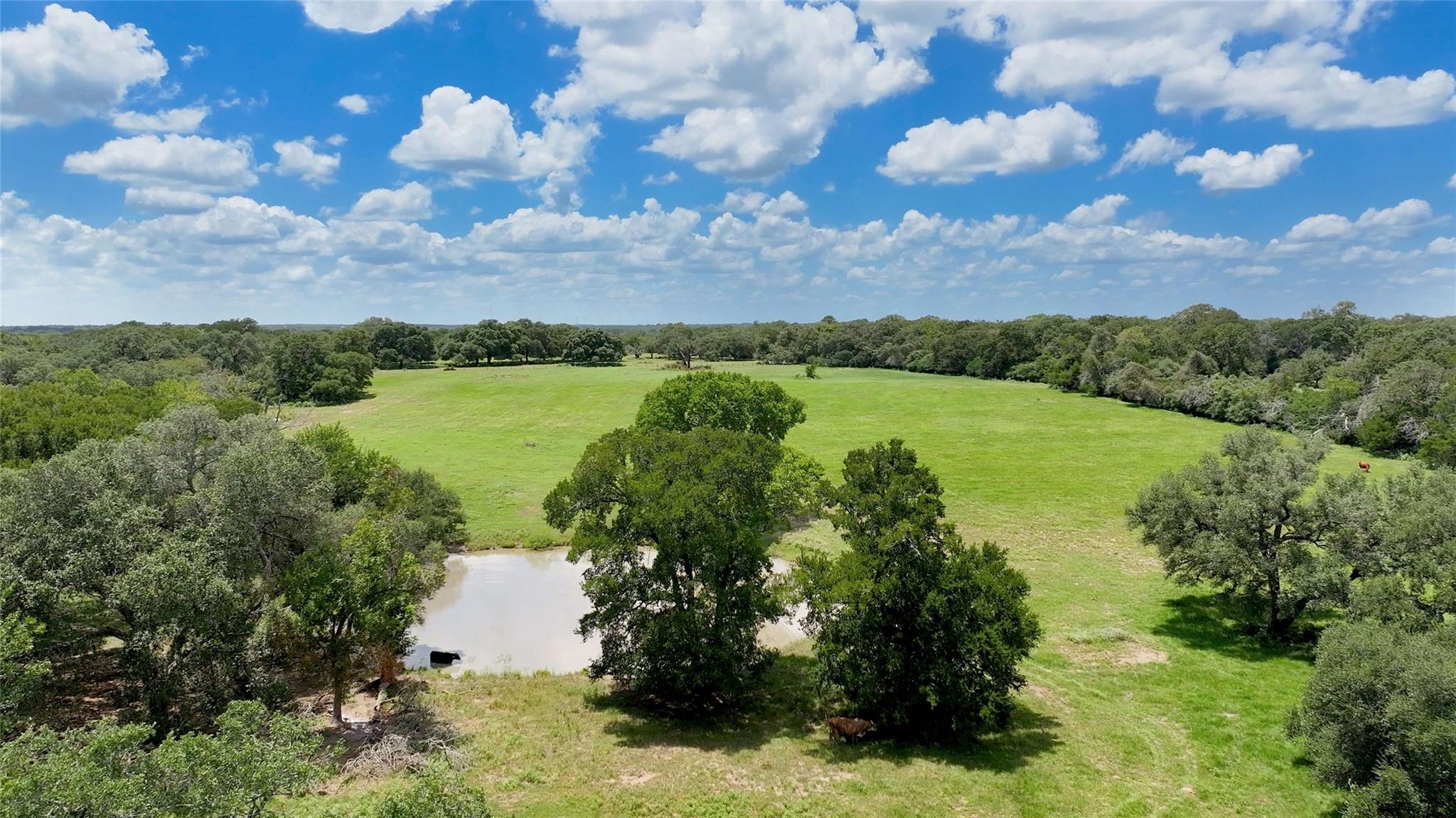 TBD Mullins Prairie