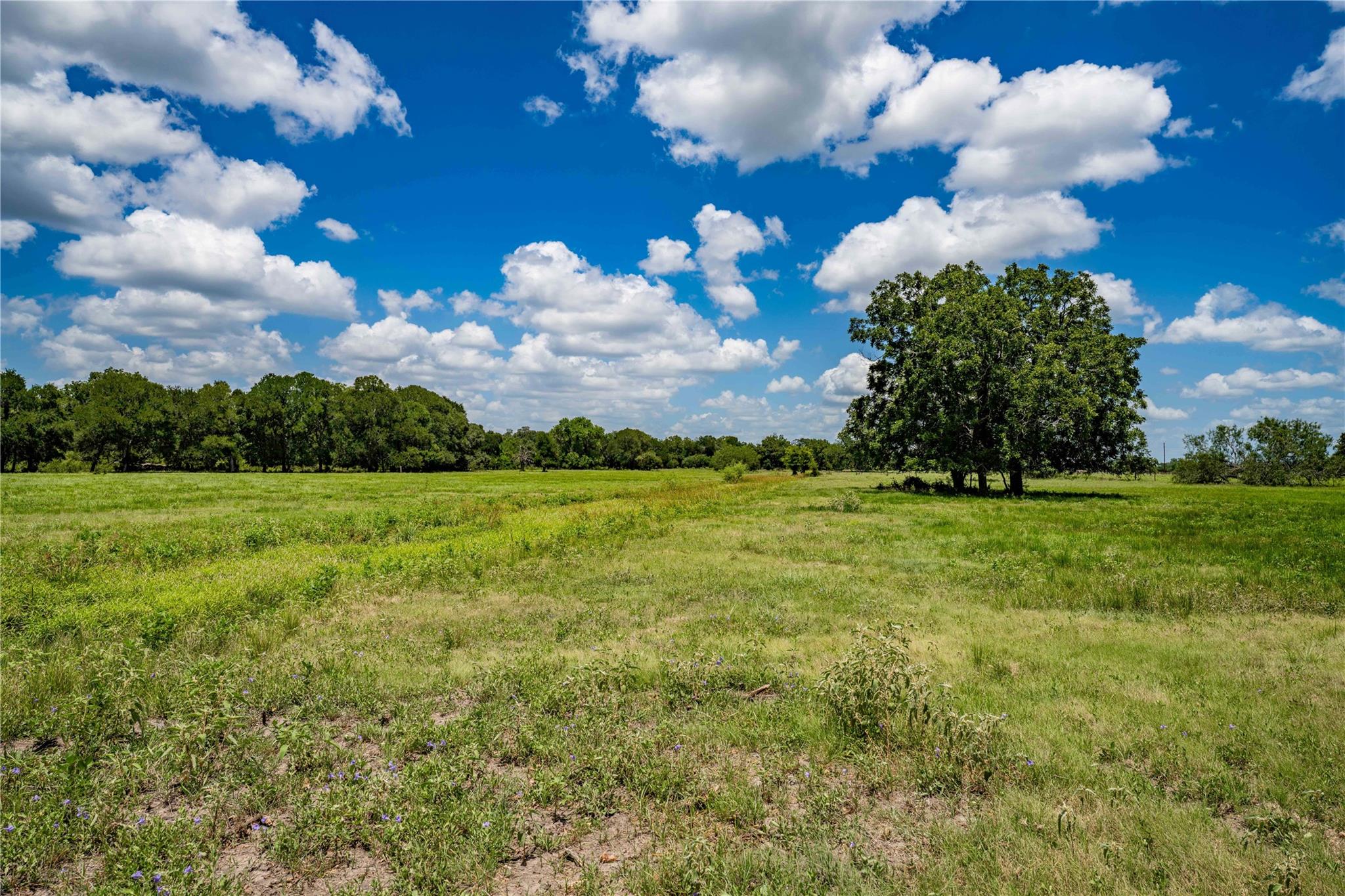 TBD Mullins Prairie