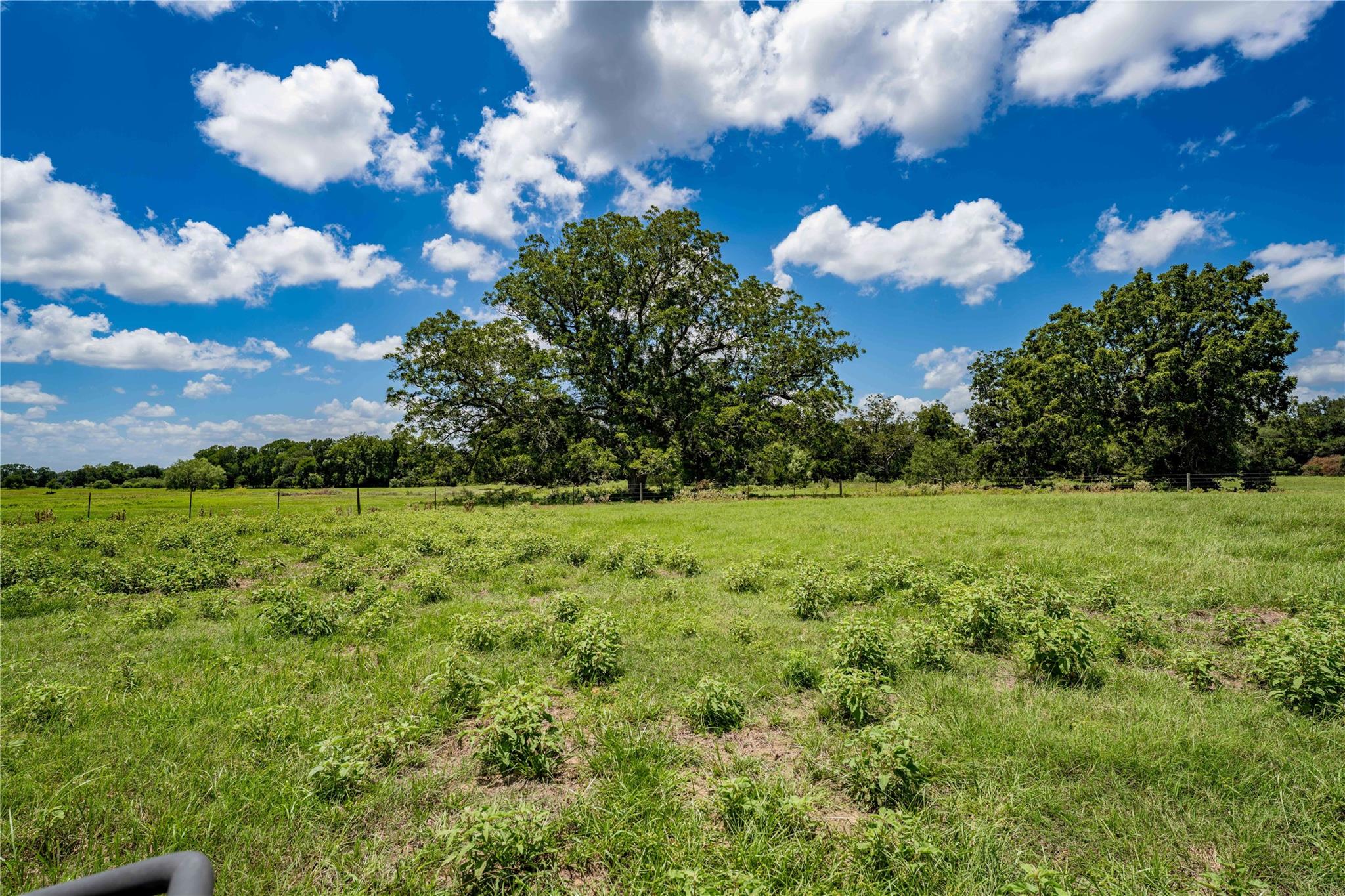 TBD Mullins Prairie