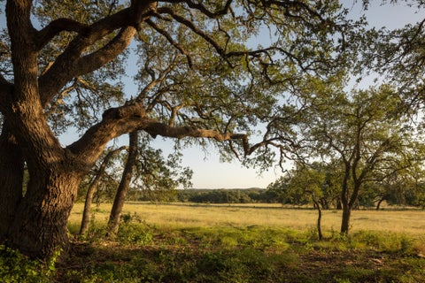 Photo of 2427 Prochnow RD, Dripping Springs, TX 78620 (MLS # 8153800)