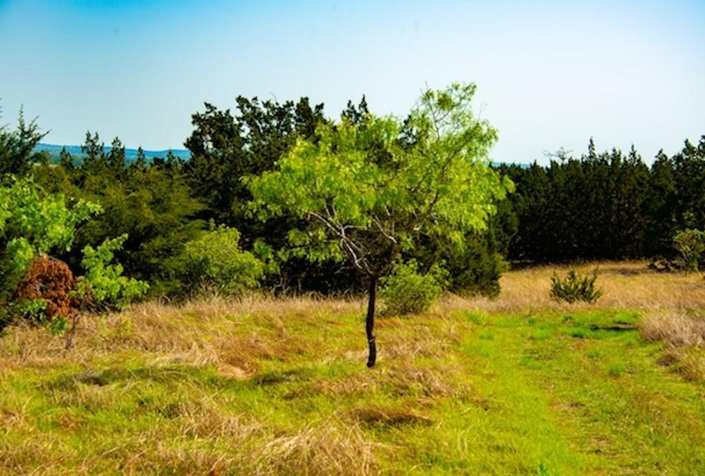 203 Rheingold School RD