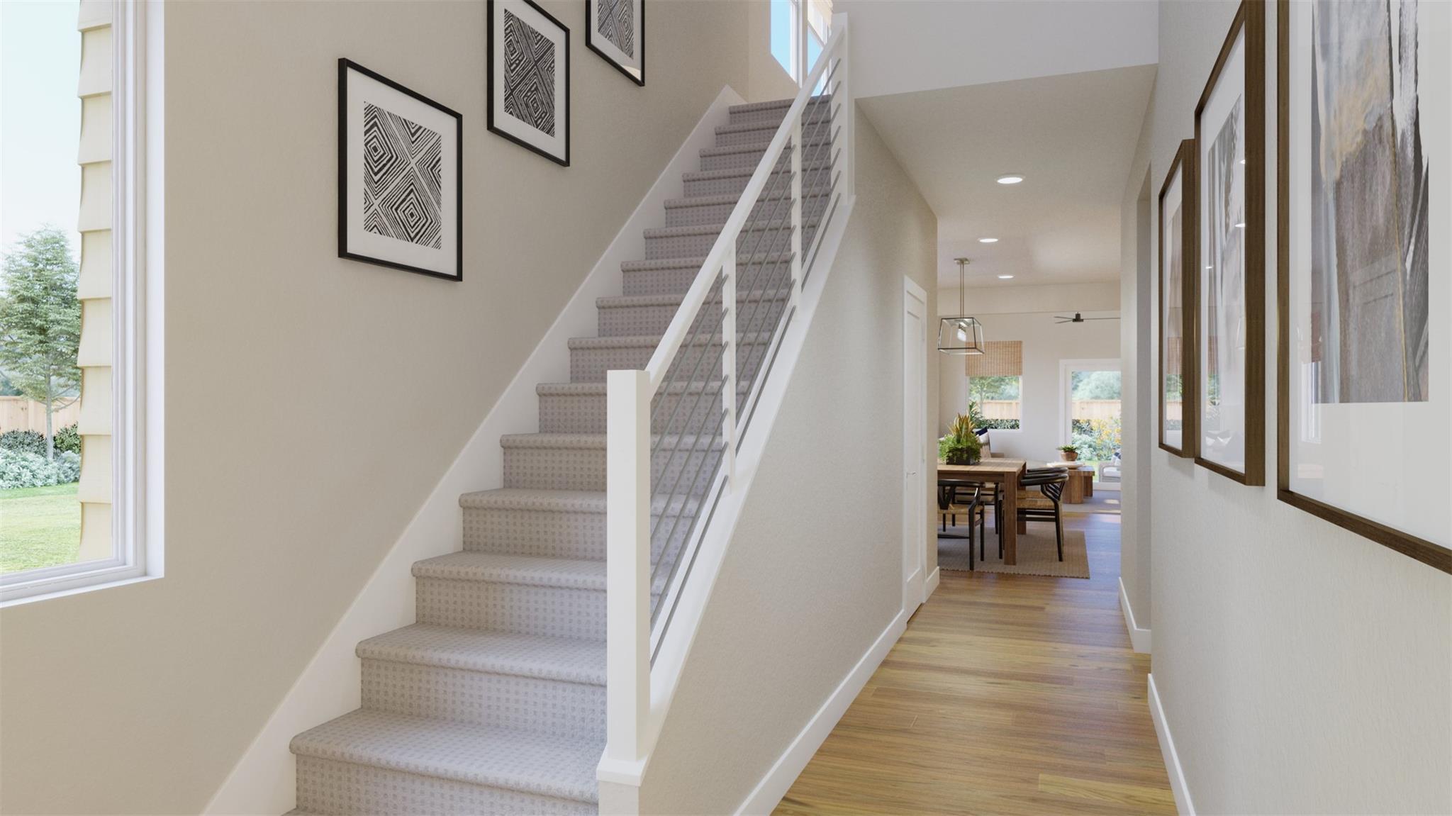 529 Bauer LOOP