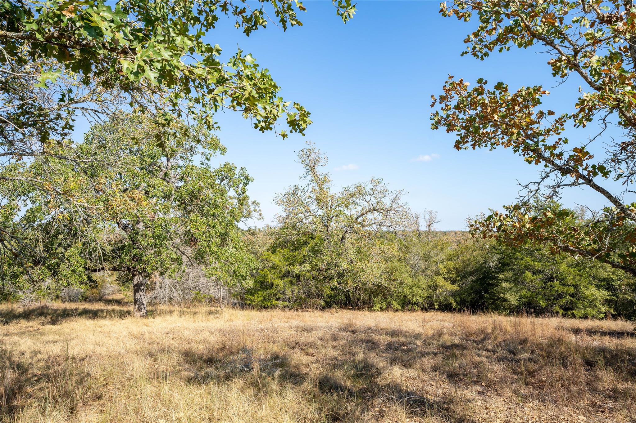 3779 Mule Creek RD