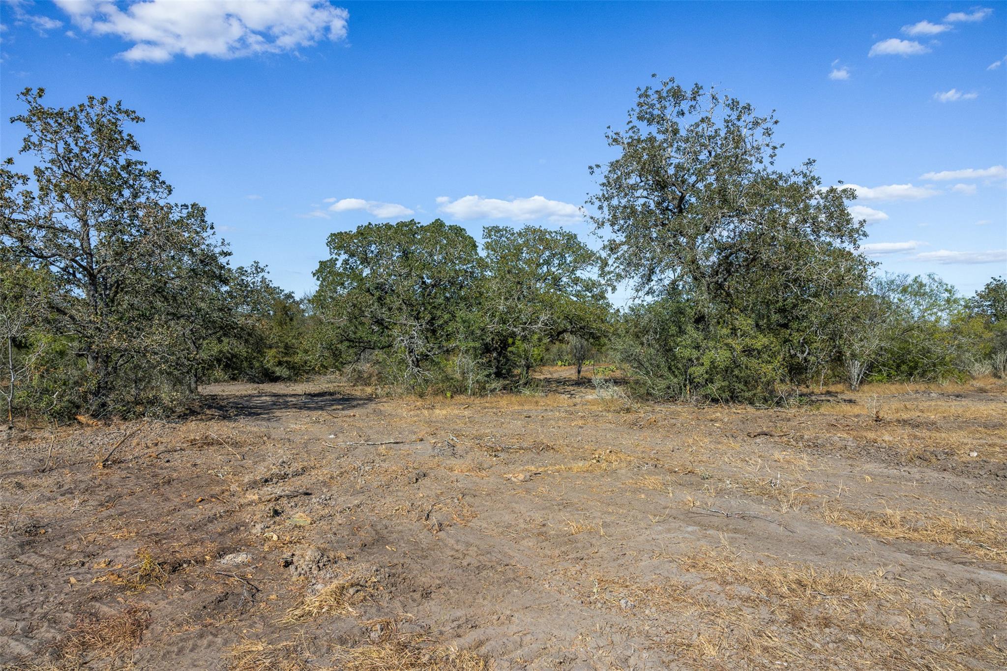 Lot 6 County Road 211
