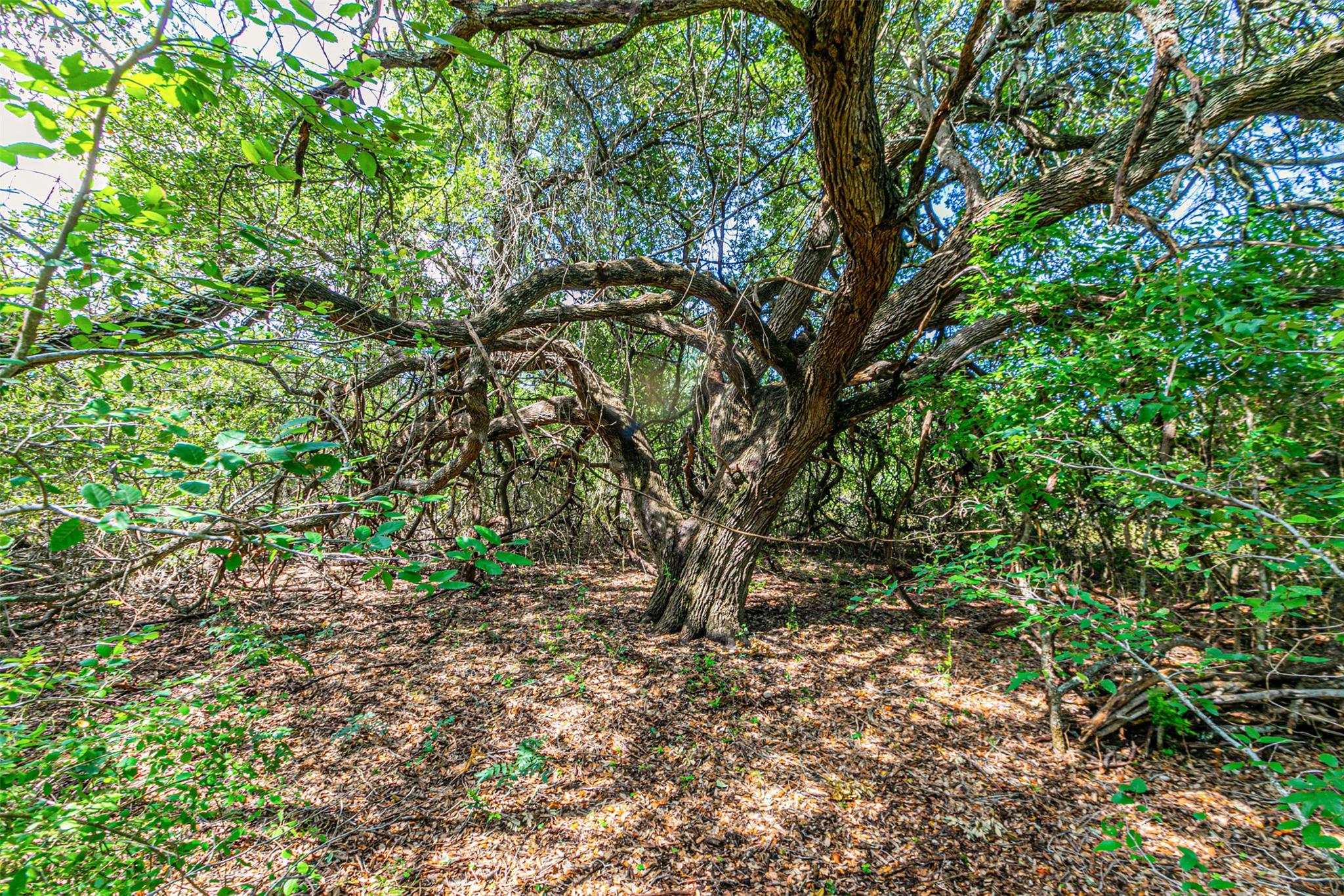 200 Hidden Path RD