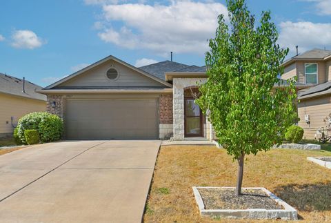 19017 Great Falls DR Manor TX 78653