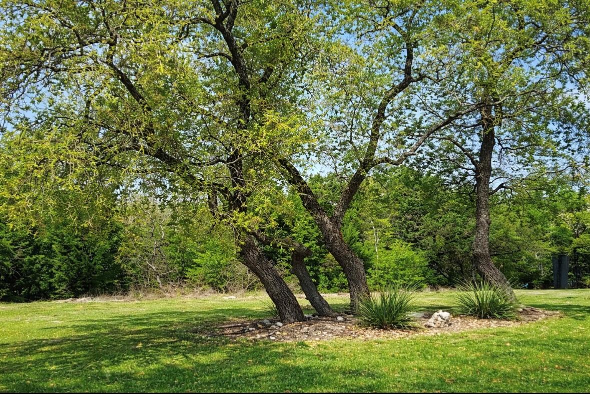 1300 Deering Creek DR