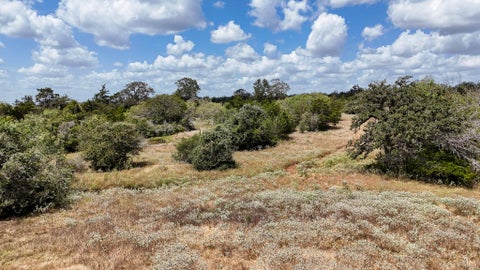 Photo of Harwood, TX 78632 (MLS # 4661792)