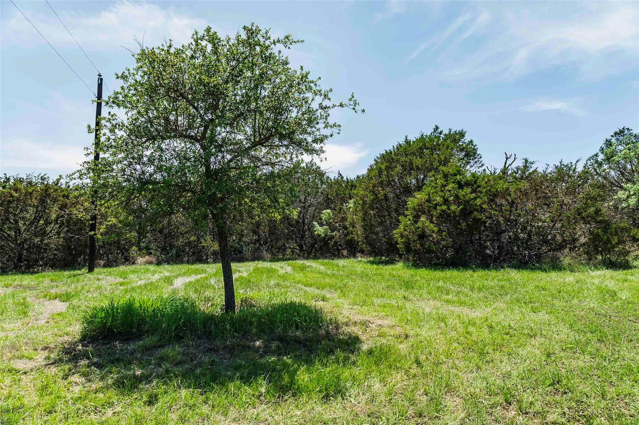 TBD County Road 203