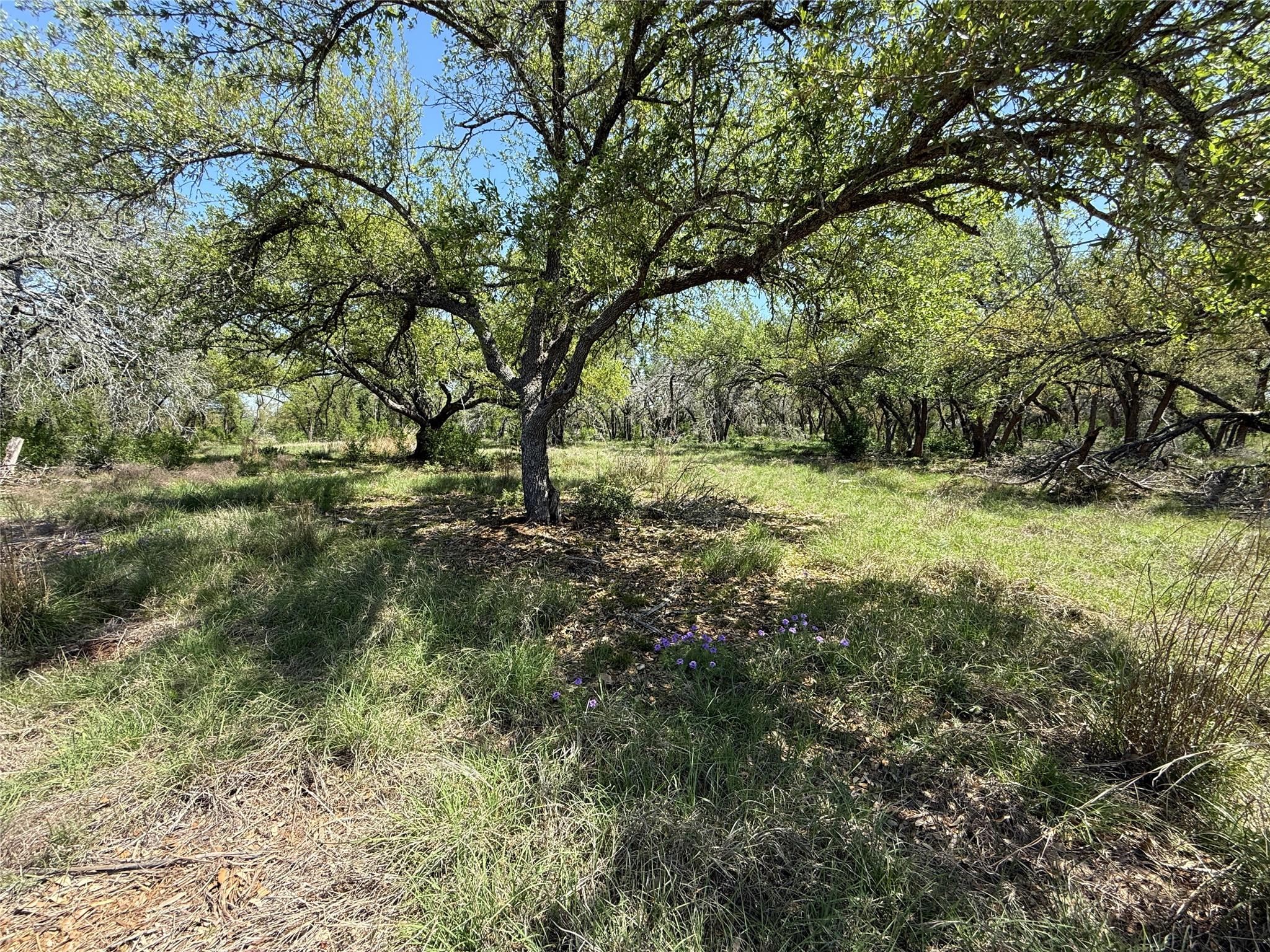 Lot 106 E Flying Owl DR