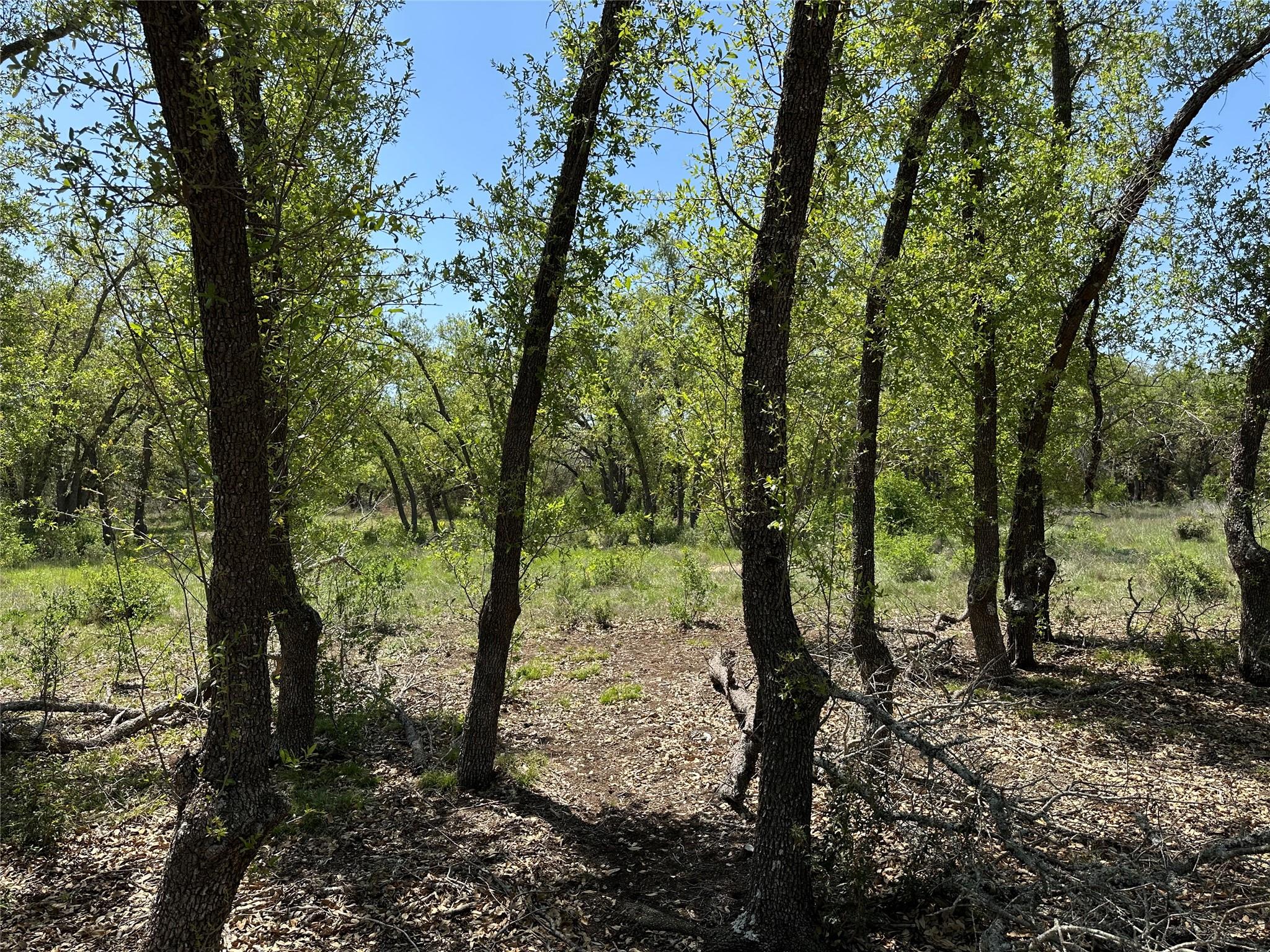 Lot 106 E Flying Owl DR