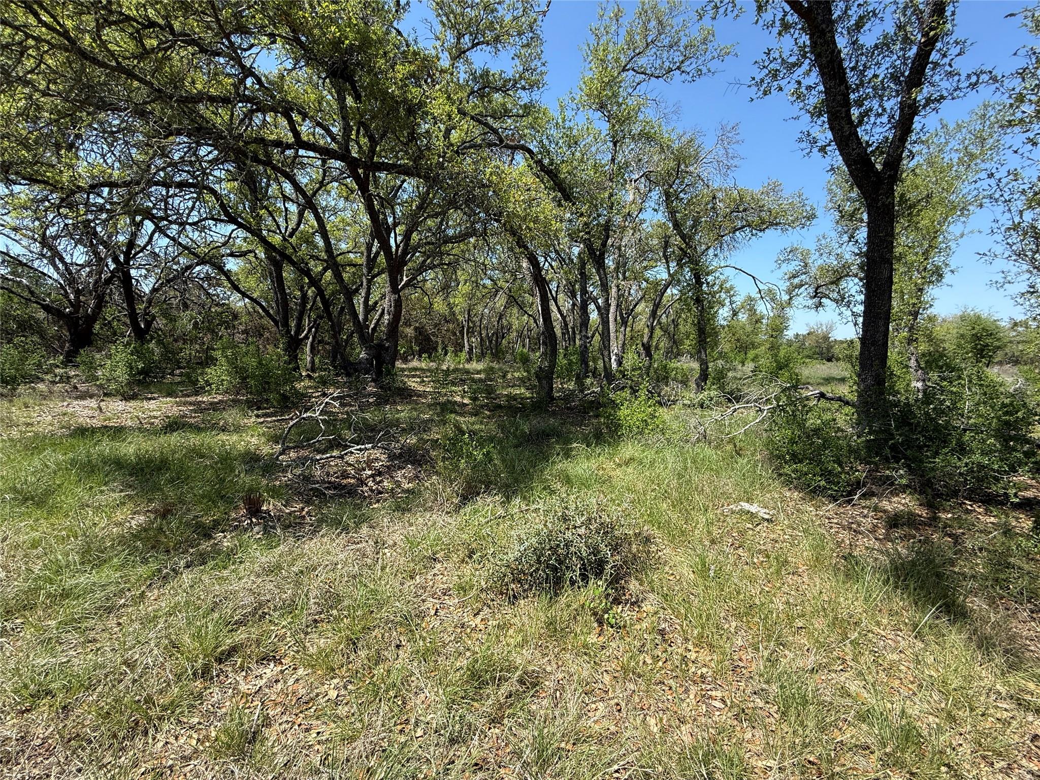 Lot 106 E Flying Owl DR