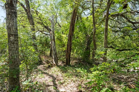 Tiny photo for 509 Kingfisher Creek DR, Austin, TX 78748 (MLS # 7402633)