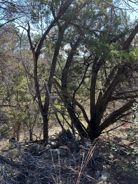 Photo of 9332 Oxbow CIR, Lago Vista, TX 78645 (MLS # 8015203)